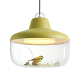 Eno Studio | Favourite Things Pendant Container Light in Mustard