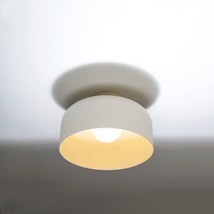 ANDlight | Lukas Peet Spotlight Volumes B Series Ceiling/Wall Light 14 Inch