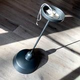 Cedar + Moss | Matte Black Pendant, Meadowlark 11" Luxe Rod 
