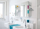 Doshi Levien | Kali Bathroom Mirror Cabinet